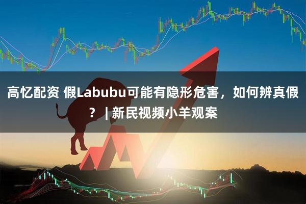 高忆配资 假Labubu可能有隐形危害，如何辨真假？ | 新民视频小羊观案