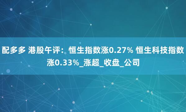配多多 港股午评：恒生指数涨0.27% 恒生科技指数涨0.33%_涨超_收盘_公司