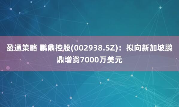 盈通策略 鹏鼎控股(002938.SZ)：拟向新加坡鹏鼎增资7000万美元