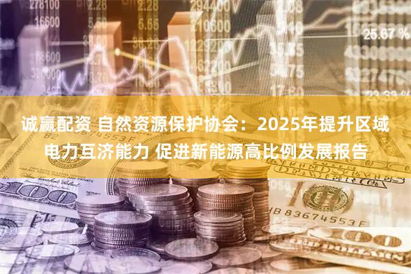 诚赢配资 自然资源保护协会：2025年提升区域电力互济能力 促进新能源高比例发展报告