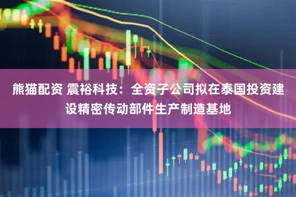 熊猫配资 震裕科技：全资子公司拟在泰国投资建设精密传动部件生产制造基地